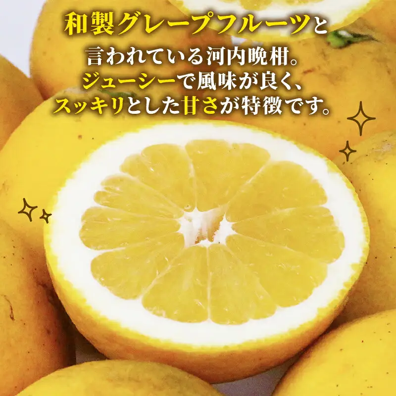 訳あり 河内晩柑 10kg まる玉農園 訳アリ河内晩柑 みかん B010-172003