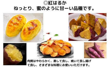 さつまいも 『紅はるか』 5kg ねっとり 蜜のように甘い熟成芋 サツマイモ 農家直送 数量限定 新潟県 糸魚川市 株式会社　清耕園ファーム熟成密芋 紅はるか 5kg 農家直送 ねっとり 蜜のように甘ーい しっとり甘い 食べごろの美味しいお芋をお届けします！  