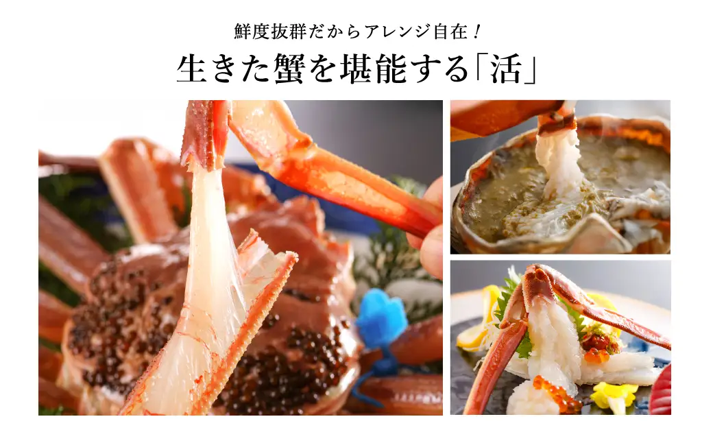 活松葉ガニ 訳あり タグ付き 約1kg