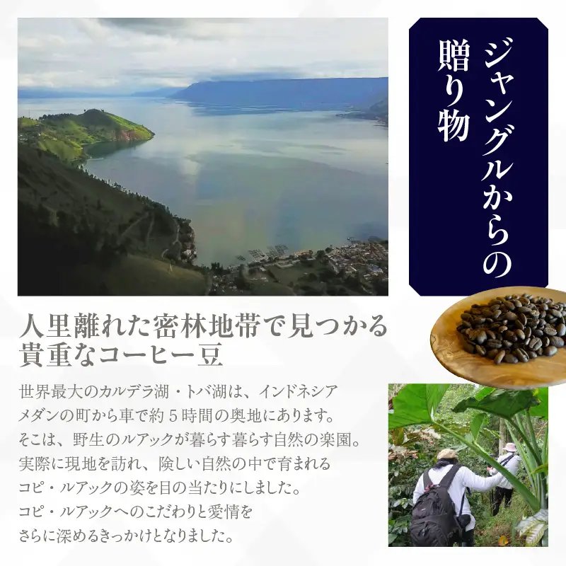 [№40-3240]幻のコーヒー　コピ・ルアック 100g【豆のまま】