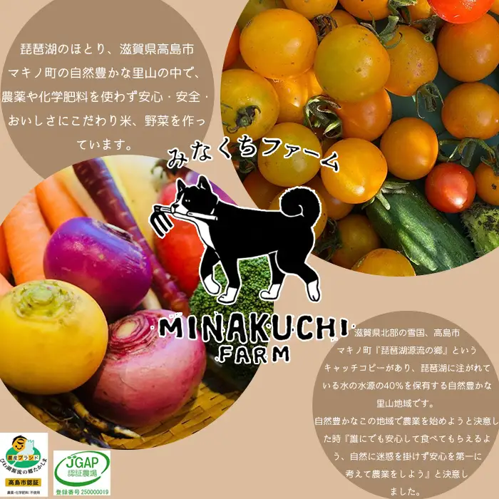 【C-102】みなくちファーム　棚田育ちのおいしいお米　いのちの壱　有機うるち精米　300g（2合)×10個［高島屋選定品］