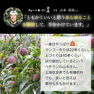 かおる・とろける！土佐マンゴー１個