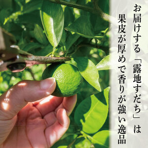 すだち 1kg 秀品 2026年9月発送 すだち