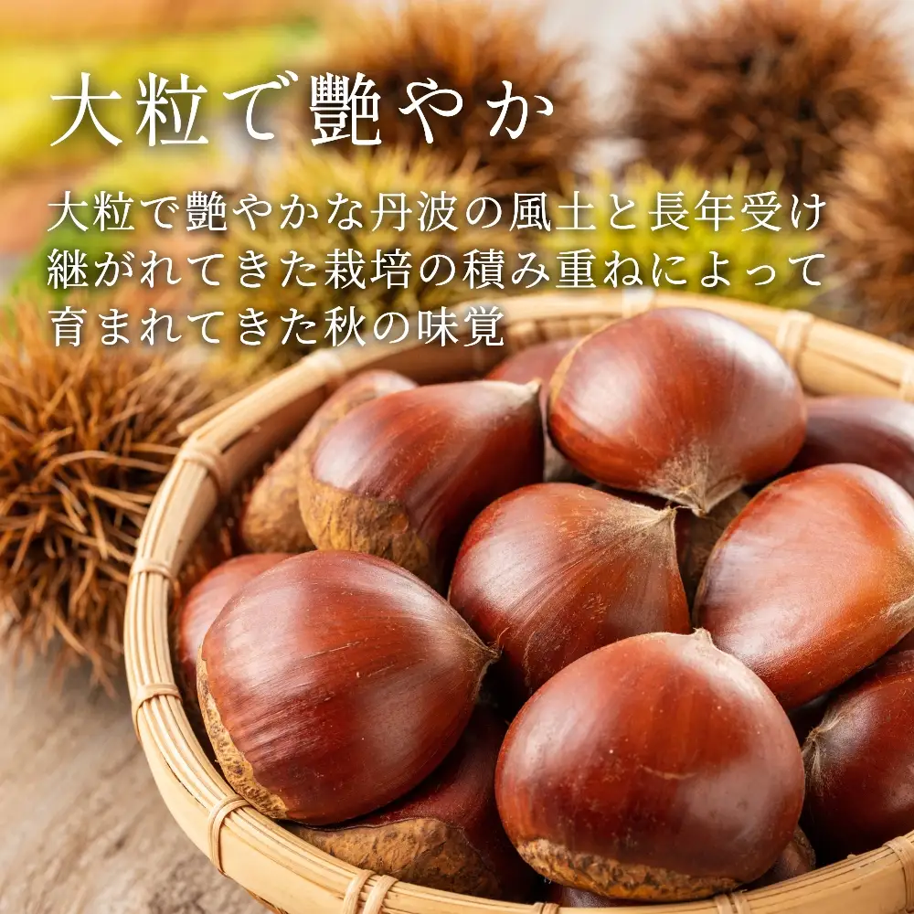 〈予約 期間限定〉熟成丹波栗 3L 1kg 栗