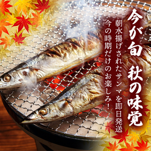 期間限定 鮮 さんま 8本入 (1尾 100g~120g) ＼ 生さんま ／
