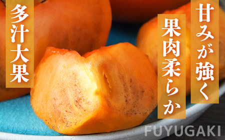 【 種が気にならない 】贈答品 富有柿 大きめ12玉 | 人気 フルーツ 果物 くだもの 柿 かき カキ ふゆう 奈良県 五條市 秋の味覚 贈答用 特産品 たっぷり