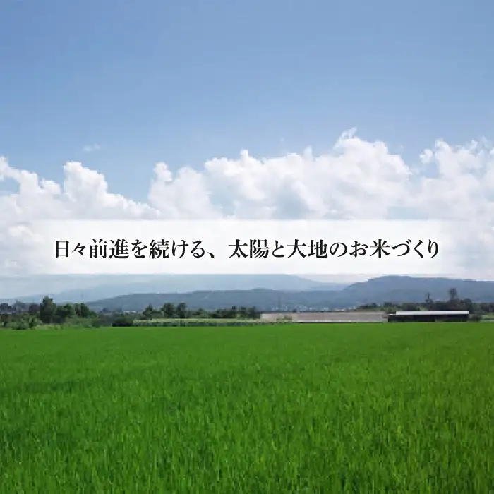 【無添加】手造り信州味噌「八重原味噌」1kg | 大桂商店（在来種大豆「こうじいらず」使用）【太陽と大地】