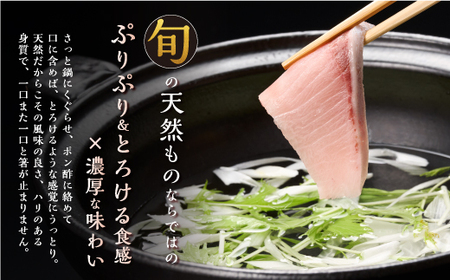 天然極寒ぶり ブリしゃぶセット 【400g（3～4人前）】_A028-0953