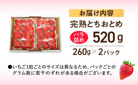 【先行予約】【数量限定200セット】嘉山農園の完熟バラ詰めいちご とちおとめ（260g×2パック）イチゴ 苺 フルーツ 果物 いちご【いちごはうす嘉山農園】 [AKCO002]
