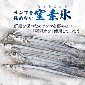 期間限定 鮮 さんま 16本入 (1尾 100g～120g) ＼ 生さんま ／