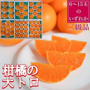 定期便 貯蔵 はっさく ＆ ハウス せとか 全2回 南泰園 二級品 セット みかん
