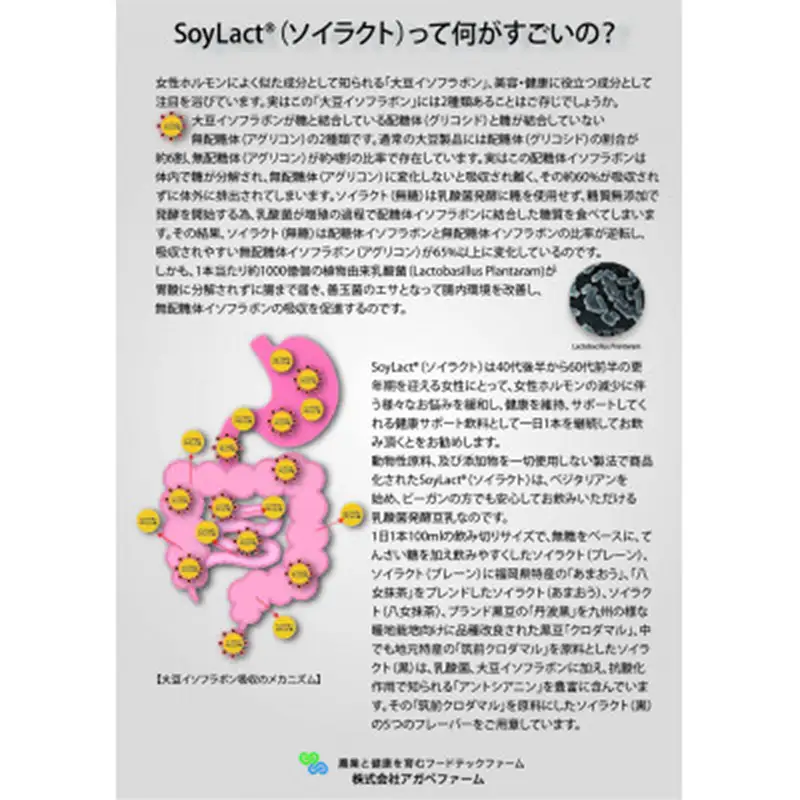 乳酸菌醗酵豆乳「ソイラクト」100ml×4本×3種（プレーン・あまおう・八女抹茶）【乳酸菌 醗酵 豆乳 大豆 ドリンク 飲料 ソフトドリンク 人気 おすすめ 送料無料 福岡県 筑前町 DS002】【202609】
