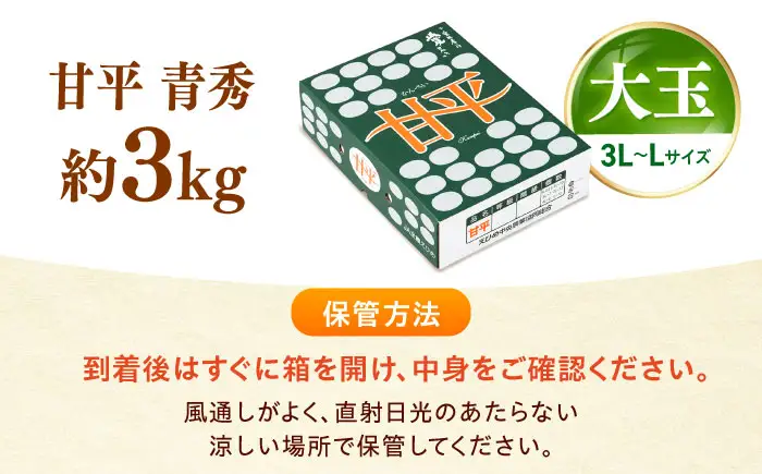 みかん 甘平 青秀 約3kg 3L-Lサイズ フルーツ 果物 みかん BJCG005