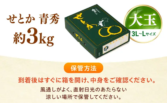 みかん せとか 青秀 約3kg 3L-Lサイズ フルーツ 果物 みかん BJCG007