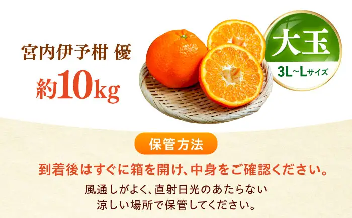 みかん 宮内伊予柑 いよかん 約10kg 3L-L サイズ フルーツ 果物 みかん BJCG004