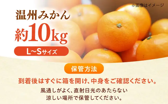 みかん 温州みかん 約10kg L-Sサイズ フルーツ 果物 みかん BJCG003