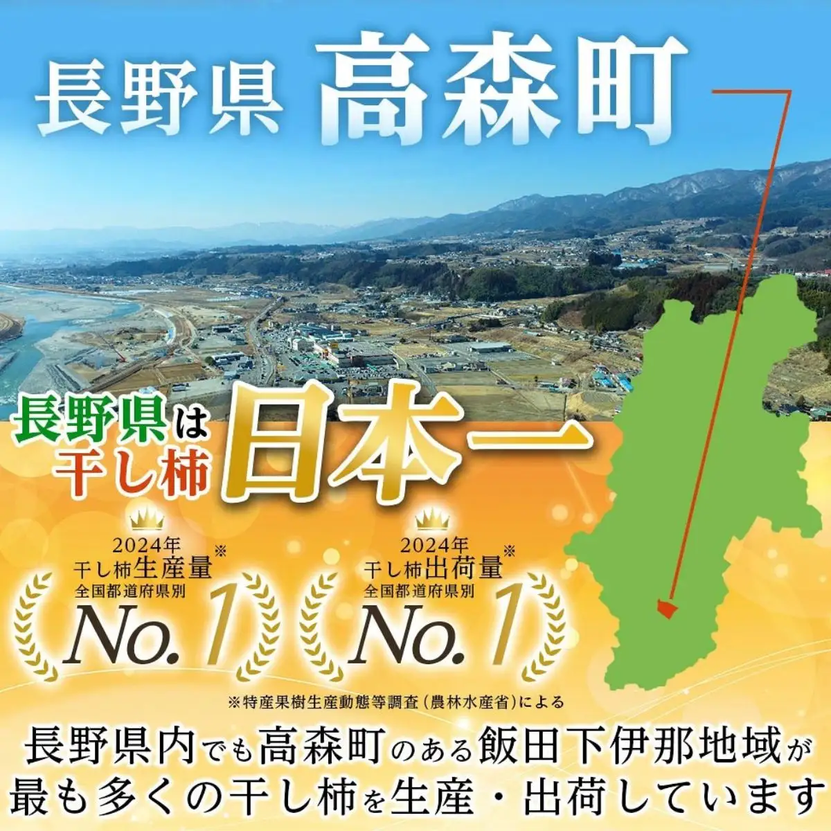 市田柿発祥の里 高森町の「市田柿」(L～2Lサイズ) 400g×2袋 ＜12月上旬発送開始＞