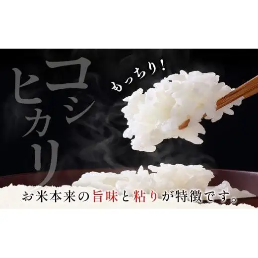 【4ヶ月定期便】宮崎県産 無洗米 コシヒカリ 5kg×4 合計20kg＜18-16a＞ごはん ご飯 白米
