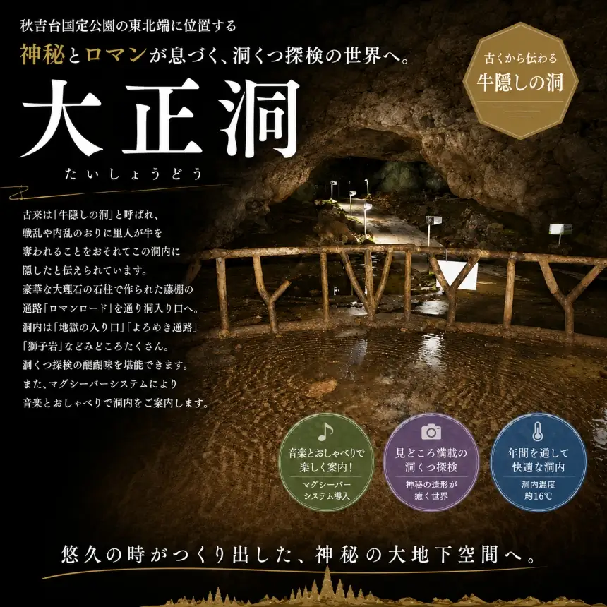 三洞周遊共通チケット「秋吉台三洞物語」（大人）