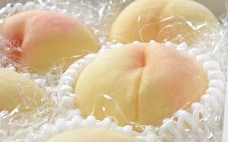 桃 【農園直送】朝採れ和歌山の桃　約4kg・秀品【2027年6月下旬～2027年8月上旬頃に順次発送予定】【TM168】【TM006-tec911B】