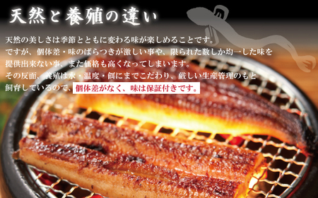 26-368．＜四万十食品＞うなぎ蒲焼　長焼４尾／ＤＥＥ
