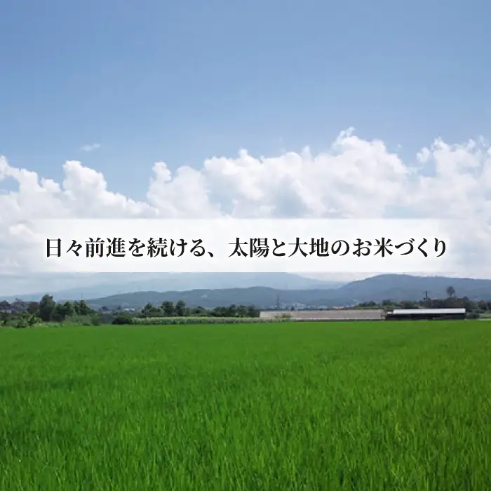 【令和8年産 新米】八重原産コシヒカリ 玄米「謙太郎米」10kgと 大桂商店 信州味噌「八重原味噌」1kg セット｜特別栽培米（減農薬・減化学肥料栽培）【太陽と大地】
