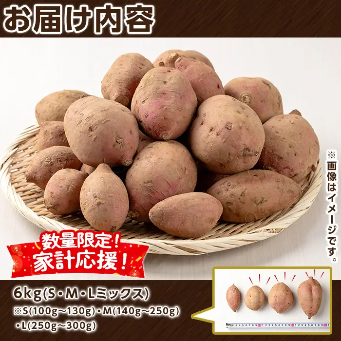 安納芋 さつまいも 6kg 生活 家計 応援 【種子島安納大地】n223-z