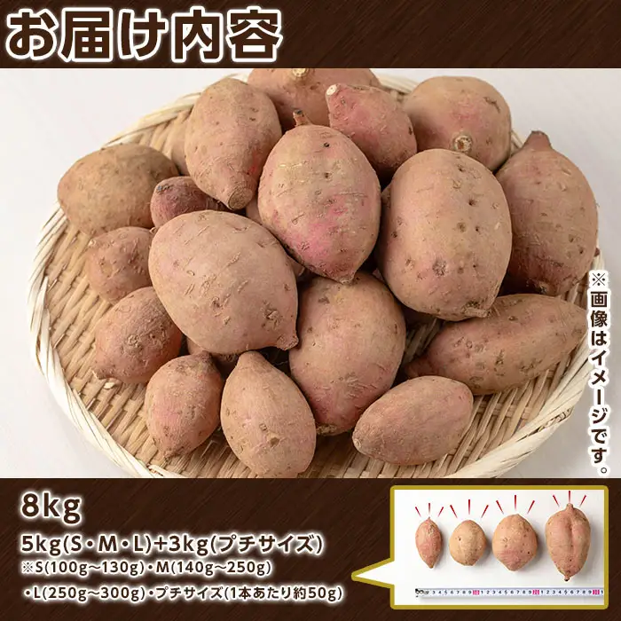 安納芋 さつまいも 計8kg (S・M・L +プチサイズ) 【種子島安納大地】n225