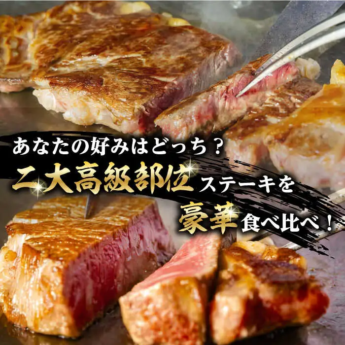 【二大高級部位！】サーロイン と ヒレ ステーキ 計700g （各2枚） 長崎和牛 A4?A5ランク 希少部位【野中精肉店】 [VF50] 肉 牛肉 赤身 サーロインステーキ ヒレステーキ 焼肉