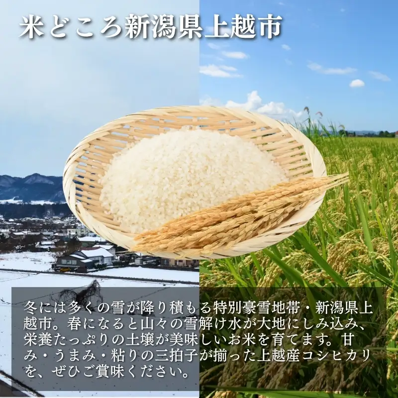 米物語 コシヒカリ 精米 4kg 上越産 コシヒカリ