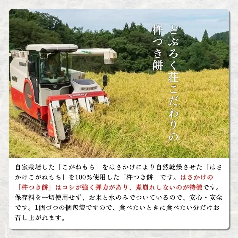 餅 天日干し 「杵つき餅」（10個入り）×5袋 もち お餅 農家民宿どぶろく荘