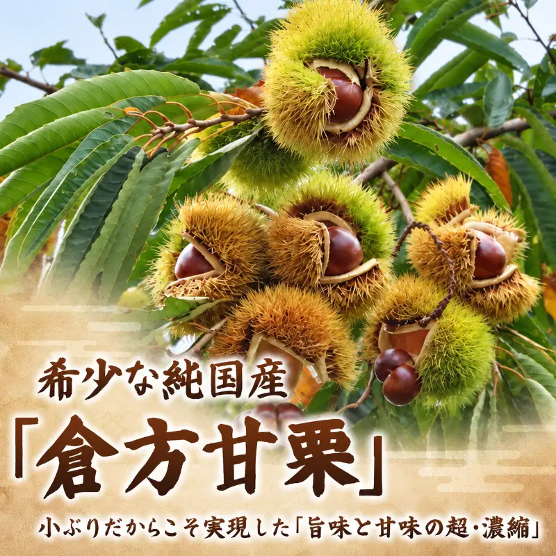 謙信甘栗の氷蔵熟成栗 3kg(1kg×3)【氷蔵熟成栗謙信甘栗】 新潟 新潟県産 宮沢栗農園