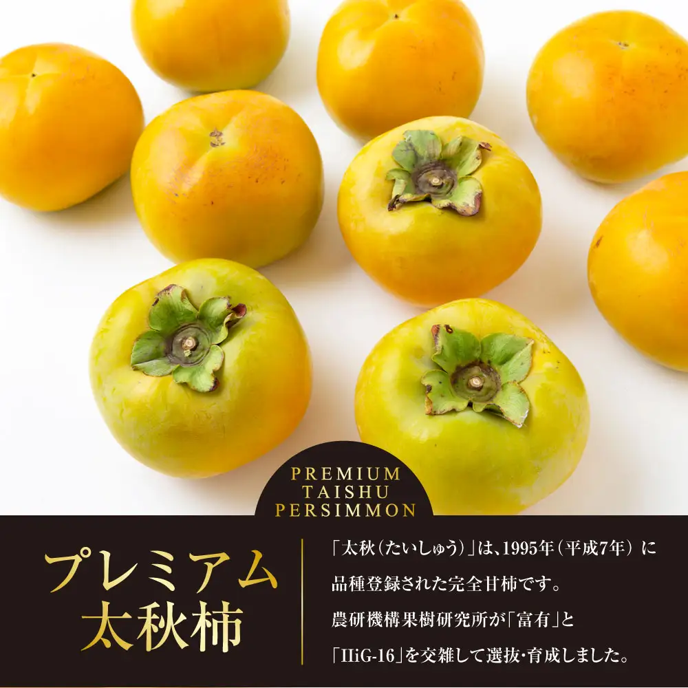 【先行予約】 原茂之巨峰園 プレミアム 太秋柿 大玉 8玉から9玉 （約3kg） 【2026年10月中旬から11月上旬 出荷予定】 柿 かき カキ 太秋 たいしゅう 完全甘柿 果物 くだもの フルーツ 果実 ジューシー 流川ブランド お取り寄せ 福岡県 うきは市