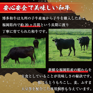 【ふるさと納税】訳あり！博多和牛切り落とし＆あまおうセット 1.3kg [a9450] 株式会社Meat Plus ※配送不可：離島【返礼品】添田町 ふるさと納税
