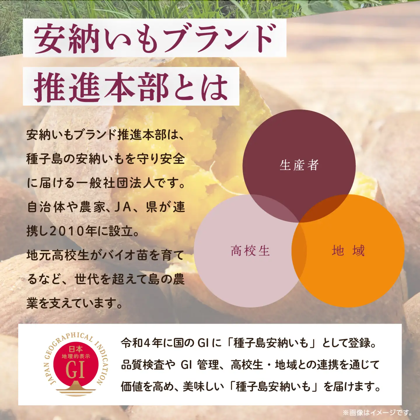 冷凍安納芋 焼き芋 1kg【ソウルキッチン農園】