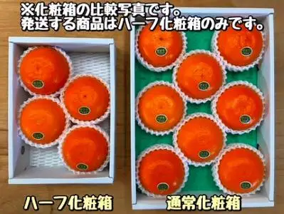 ハーフ 化粧箱 柑橘の大トロ ハウス せとか 厳選 4玉入 南泰園