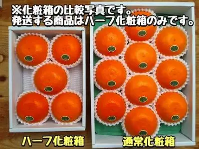 ハーフ 化粧箱 柑橘の大トロ ハウス せとか 厳選 5玉入 南泰園