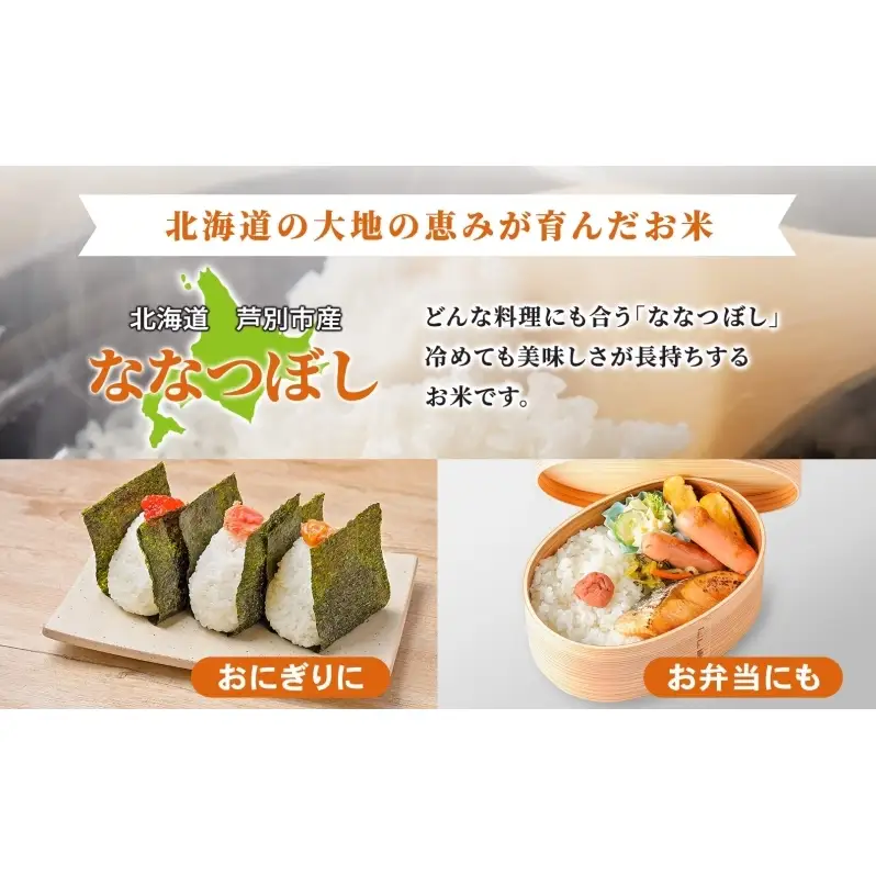 米 ななつぼし 精米 白米 10kg 5kg×2袋 お米