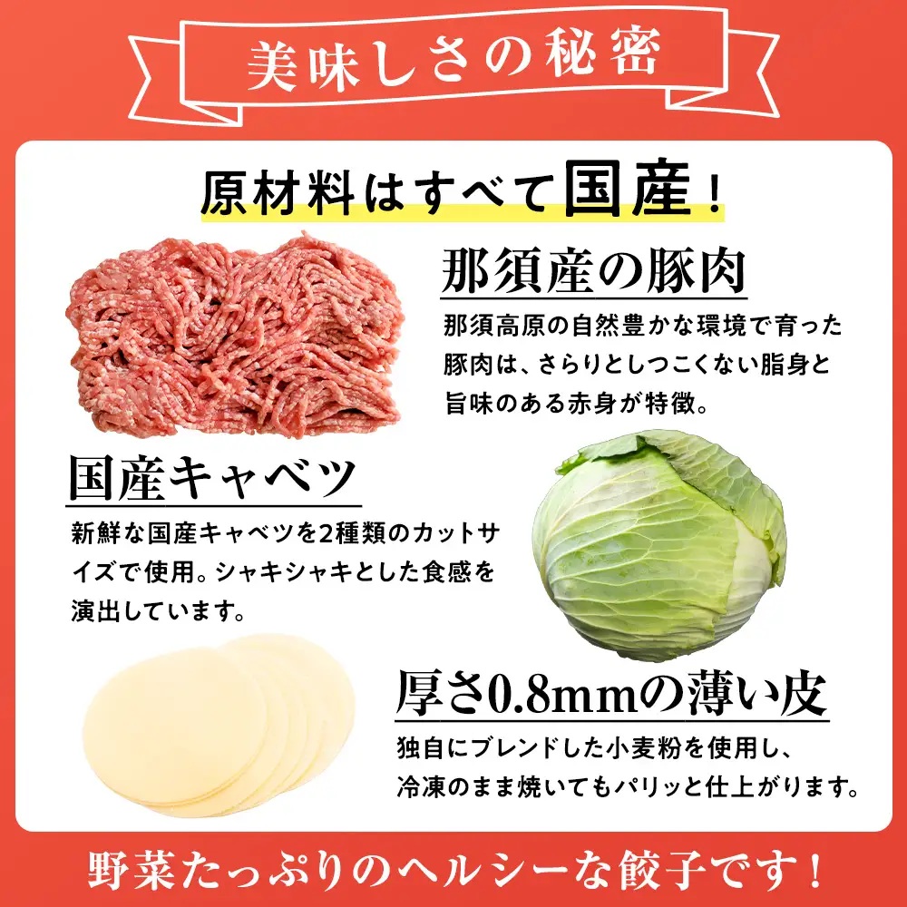 23-5【定期便3回】玉ちゃん餃子8人前（24個×2袋) | 餃子 ぎょうざ ギョウザ ギョーザ おつまみ おかず 惣菜 中華 点心 冷凍 国産 ※着日指定不可