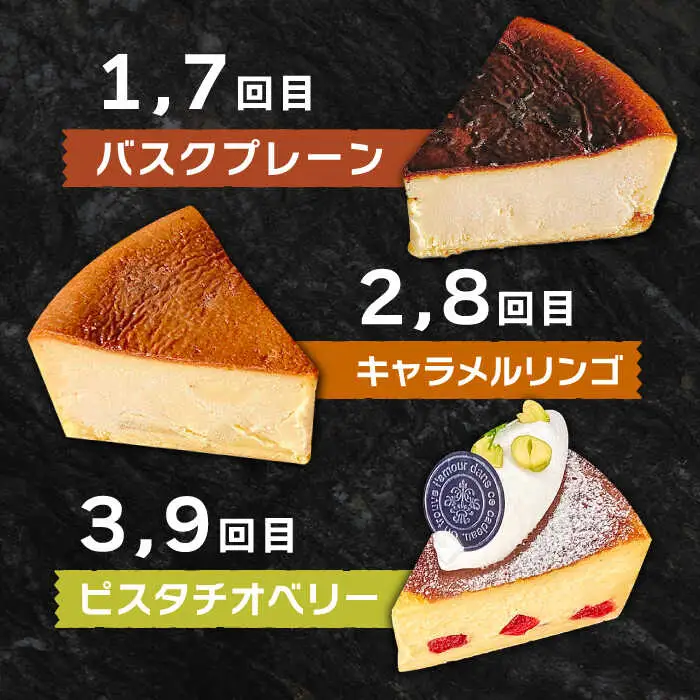 【12回定期便】 よしだのバスクチーズ 食べ比べ / ケーキ タルトケーキ スイーツ デザート 洋菓子 スペイン菓子職人が作る / 南島原市 / 吉田菓子店 [SCT036]
