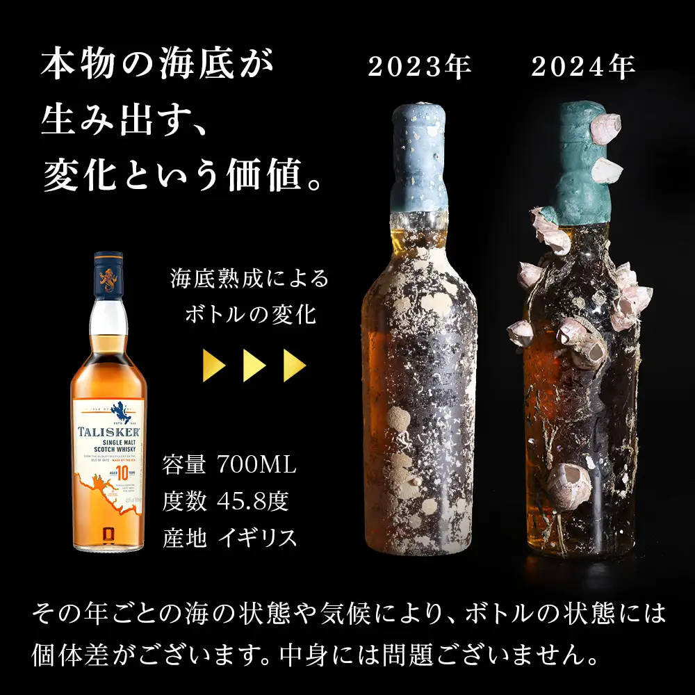 【2024年引き揚げ】知内海底熟成ウイスキー B
