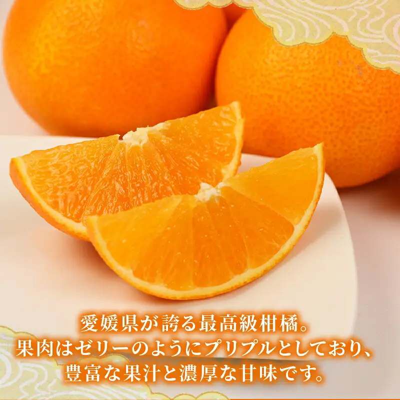 【紅まどんなと同品種】 贈答用 愛果28号 2 ~ 3kg 化粧箱入 矢野青果 先行予約 まどんな B012-171004