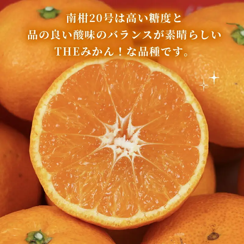 準 贈答用 みかん 南柑20号 5kg 矢野青果 温州みかん 柑橘 温州 うんしゅう 果物 くだもの フルーツ 濃厚 甘い 甘味 蜜柑 準贈答用 贈答品 贈答 ギフト プレゼント 産地直送 農家直送 数量限定 国産 愛媛 宇和島 B012-171005