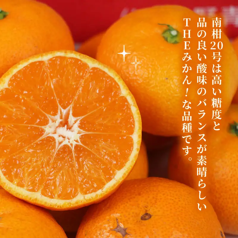 【温州】 南柑20号 2 ~ 3kg 矢野青果 温州 B012-171006