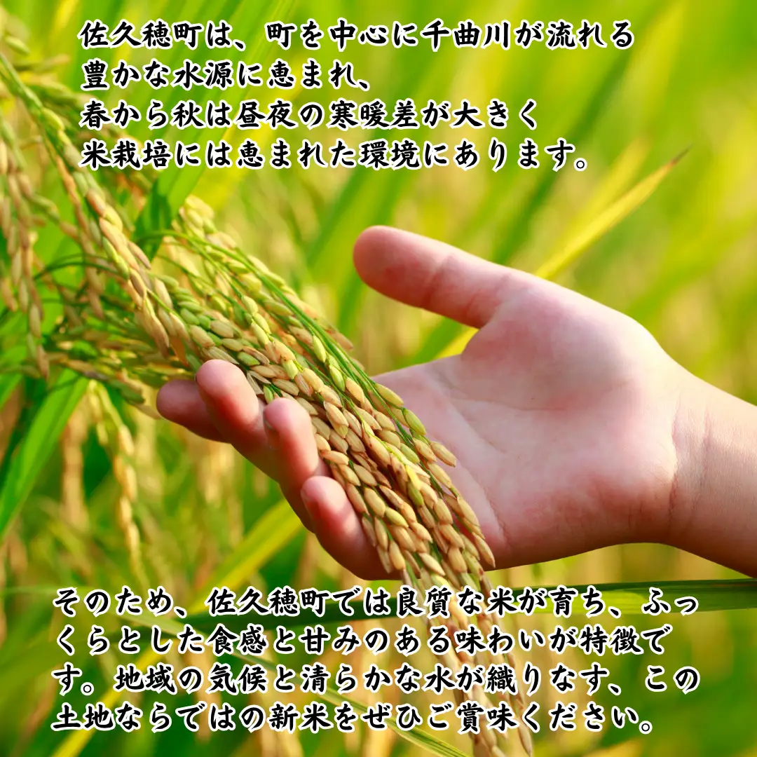 【令和8年産】いでさん家のあきたこまち　白米10kg［ID-101］