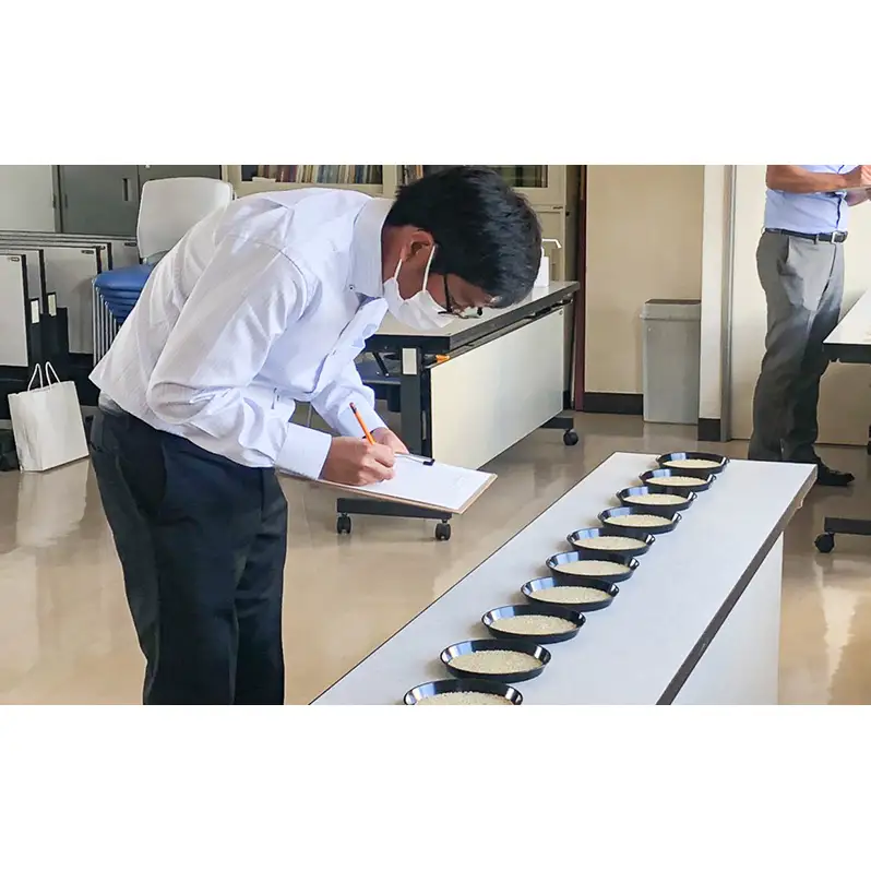 米 ゆめぴりか ななつぼし 白米 精米 300g×1袋