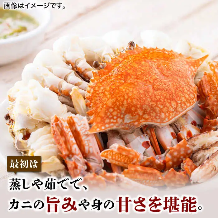 【先行予約】【2026年8月以降順次発送】豊前海産 タイワンガザミ 1kg (4‐7杯前後) オス メス セット ワタリガニ 渡り蟹 [ABCB002] 