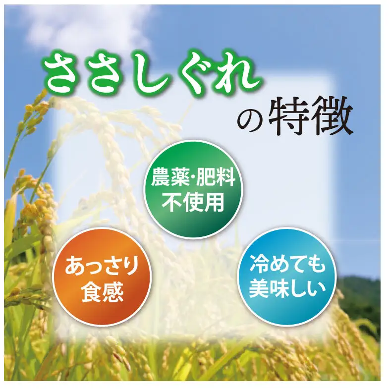 ★令和7年産★ ささしぐれ 10kg (精米) DE007
