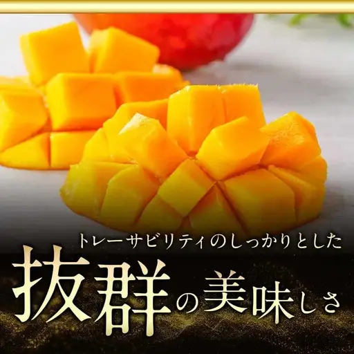 【先行受付!】宮崎県産完熟マンゴー(A等級) 【2L以上×2玉】≪2027年5月中旬以降順次お届け≫〔22-0101〕_(都城市)