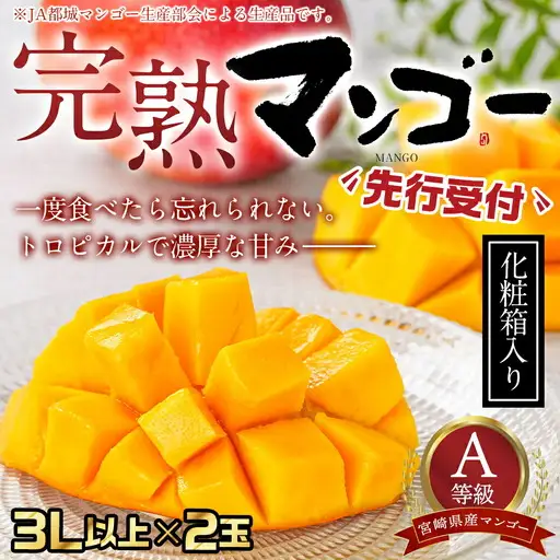 【先行受付!】宮崎県産完熟マンゴー(A等級) 【3L以上×2玉】化粧箱入り≪2027年5月中旬以降順次お届け≫〔AE-0112〕_(都城市) 宮崎県産 完熟マンゴー 化粧箱入り 3Lサイズ 糖度13度以上 A等級品 南国宮崎